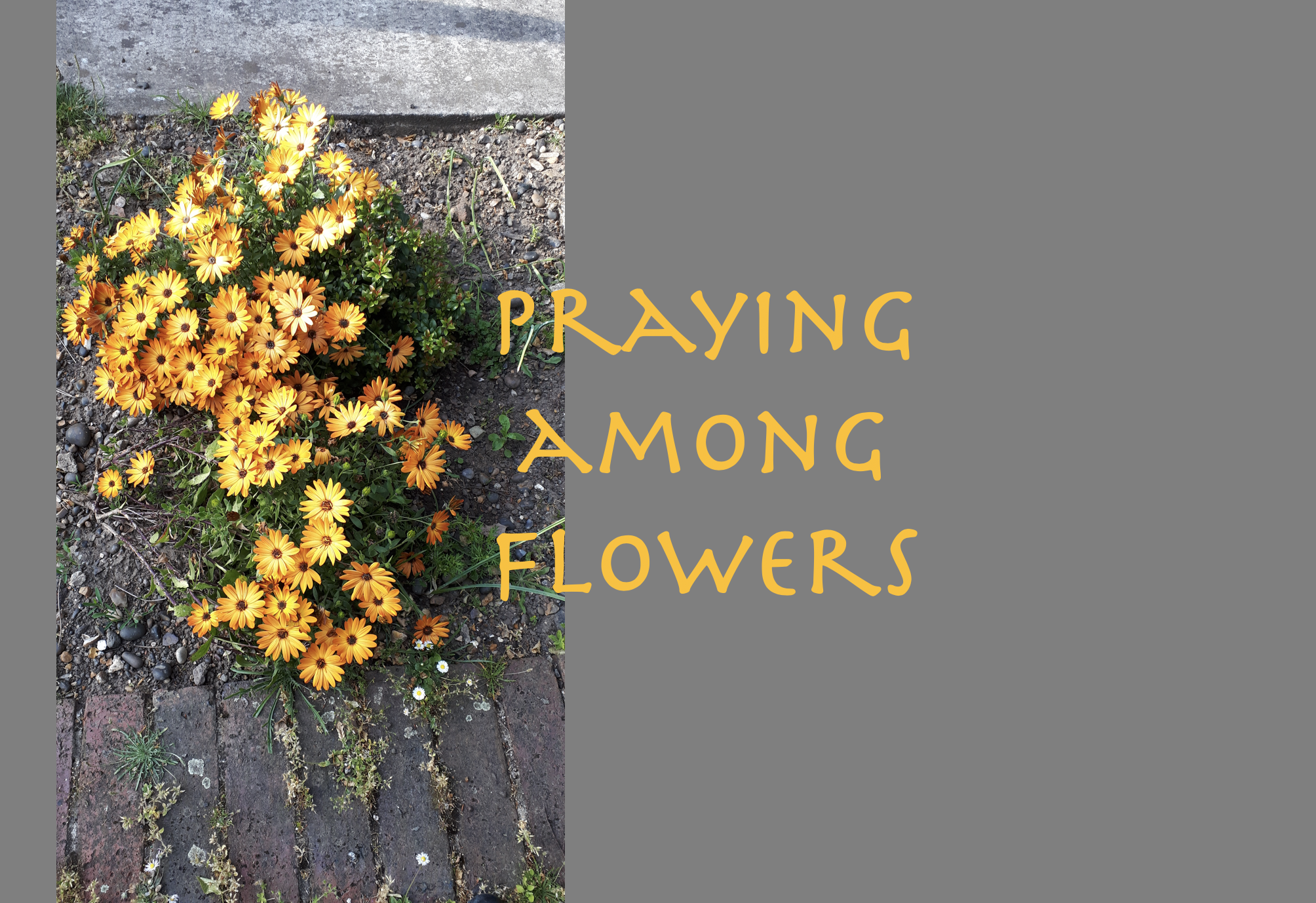 Think of Someone You Want to Pray For – Today’s Prayer
