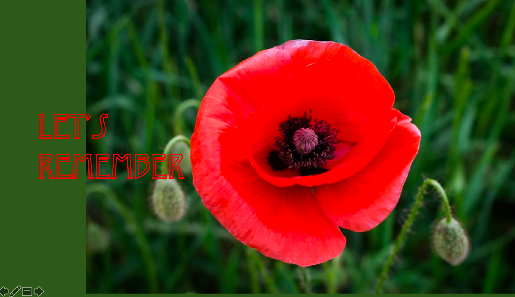 Remembrance Sunday Worship – catch up or watch again