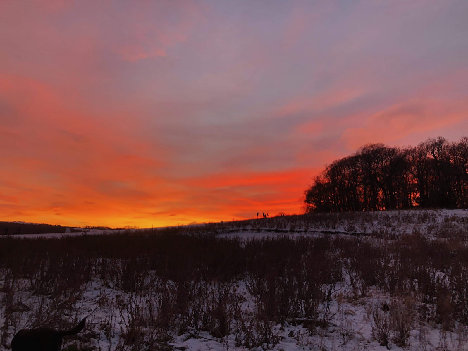 Evening Prayer Tuesday January 26th 2021